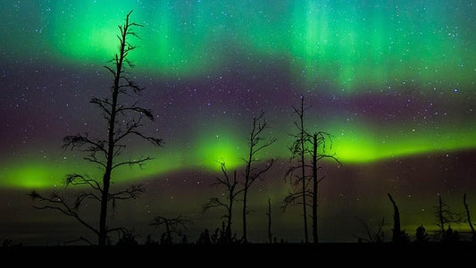 Astrophotography with a Telescope: The Complete Beginner's Guide