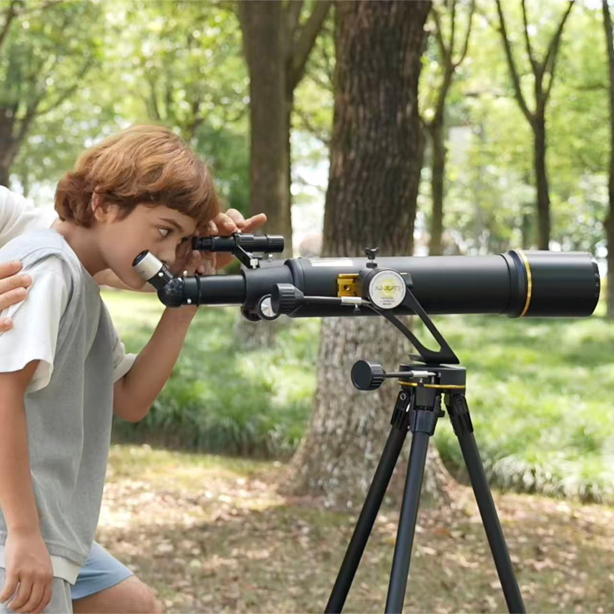 A star-filled night sky for beginner stargazing