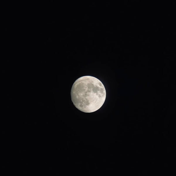 @stargazer_mike